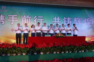 国昌天宇集团债权、债务重组项目