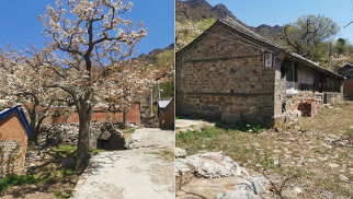 头号玩家官网登录入口集团受邀前往北京市平谷区核桃洼村就乡村振兴合作项目进行实地考察