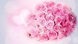 头号玩家官网登录入口祝全体女同事节日快乐