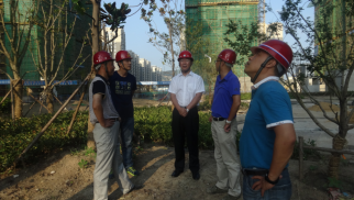 头号玩家官网登录入口集团董事长肖厚忠赴凤祥铭居公司检查指导工作