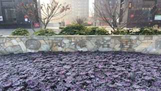 凤祥铭居二期顺利交房，业主喜获新居